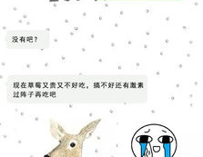 被男生 你的草莓感觉,甜蜜邂逅的浪漫旋律